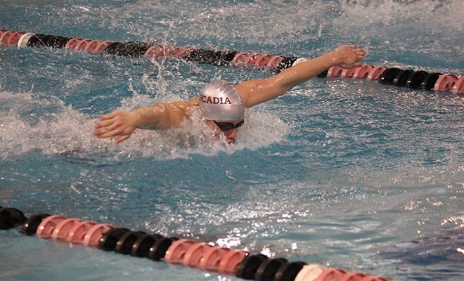 ArcadiaSWIM