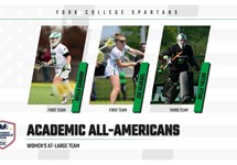 Garabo, Kluegel and Fields Earn CSC Academic All-America Honors 