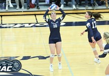 Messiah Picked as Favorite in MAC Commonwealth Women's Volleyball Coaches' Preseason Poll 